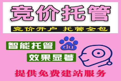 SEM托管代运营案例：优化广告投放策略